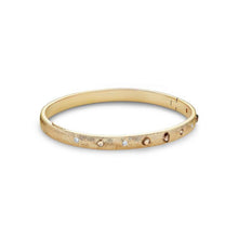 Load image into Gallery viewer, Talisman bangle in yellow gold
