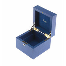 Load image into Gallery viewer, Rapport-Ladies-Sofia Small Jewellery Box-
