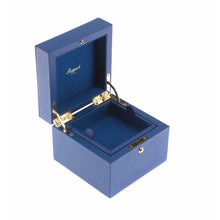 Load image into Gallery viewer, Rapport-Ladies-Sofia Small Jewellery Box-
