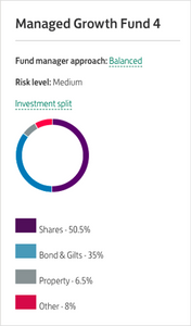 Ready-made Investments