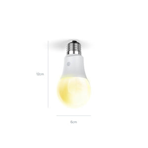 E27 / B22 Smart Light Bulb